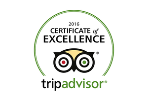 Trip Advisor Excellence